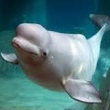 Mystic Aquarium