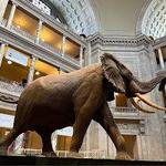 Smithsonian National Museum of Natural History
