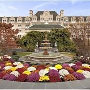 The Wedding Website of Emily Burkert and Michael DiGaetano
