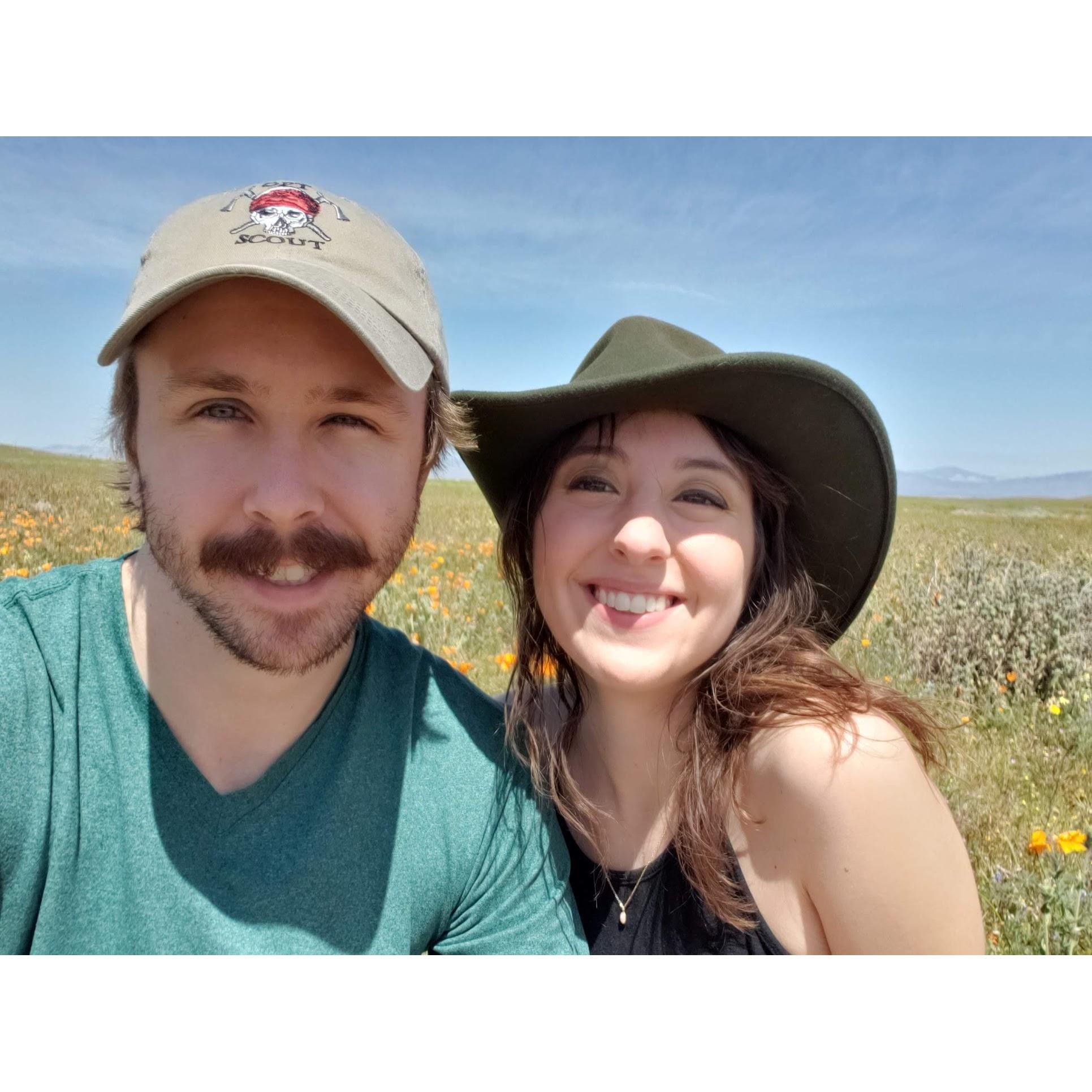 Checking out the California poppy bloom, 2020