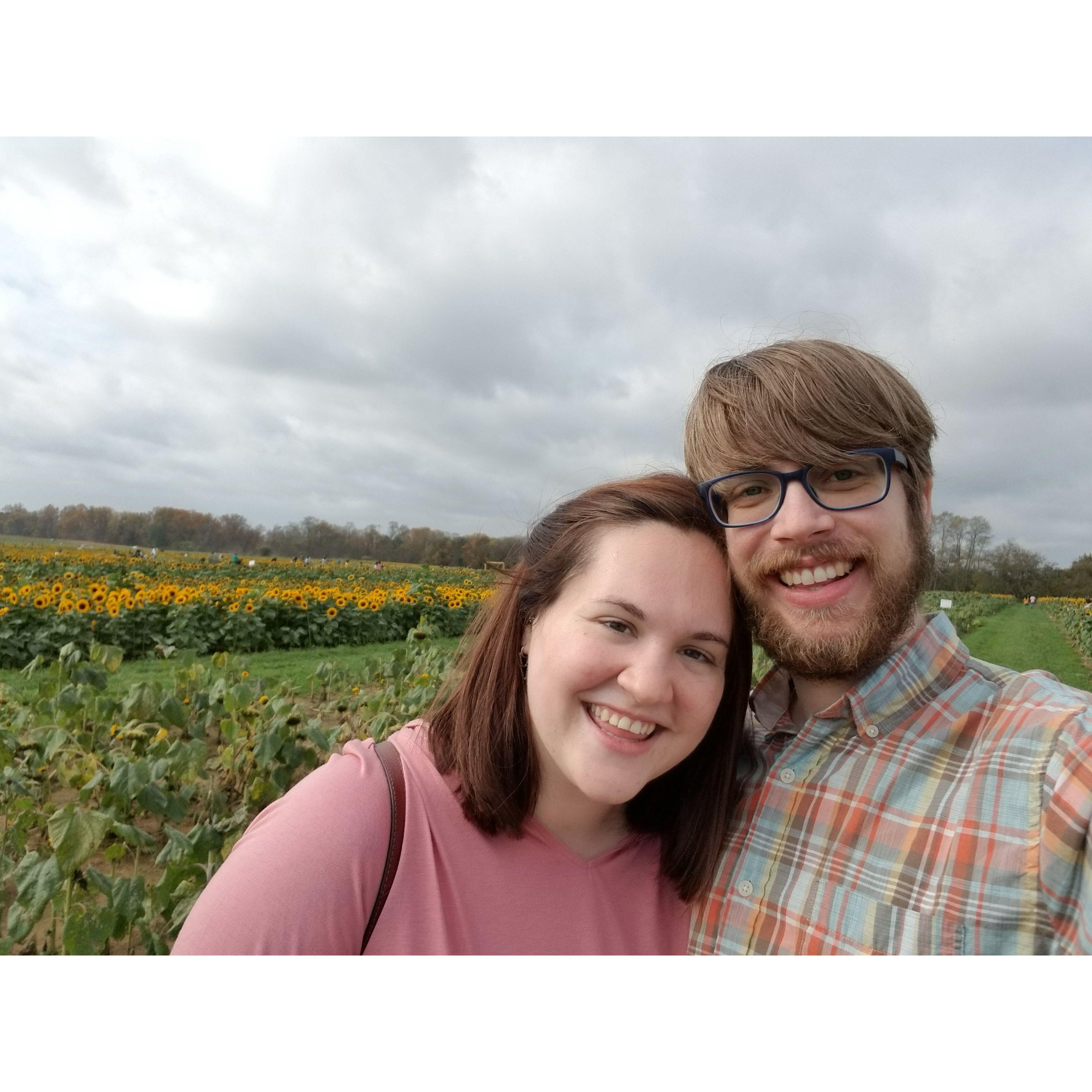 Tulip farm, October 2020