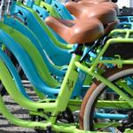 Electric Bike Rental