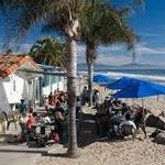 Shoreline Beach Cafe