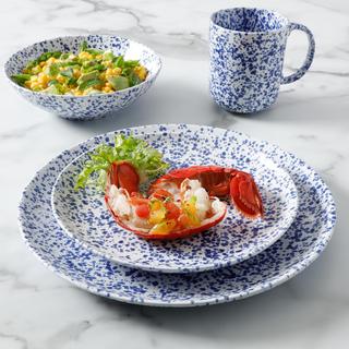 Warham 16-Piece Splatter Handpainted Dinnerware Set, Service for 4