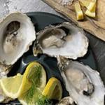 Sligo Oyster Experience