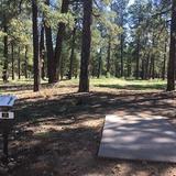 Fort Tuthill Disc Golf Course