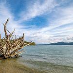 Chidiya Tapu Beach