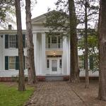 Rowan Oak