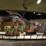 Cleveland Museum of Natural History