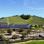 Niner Wine Estates