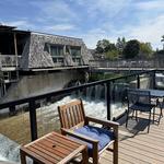 The Cove