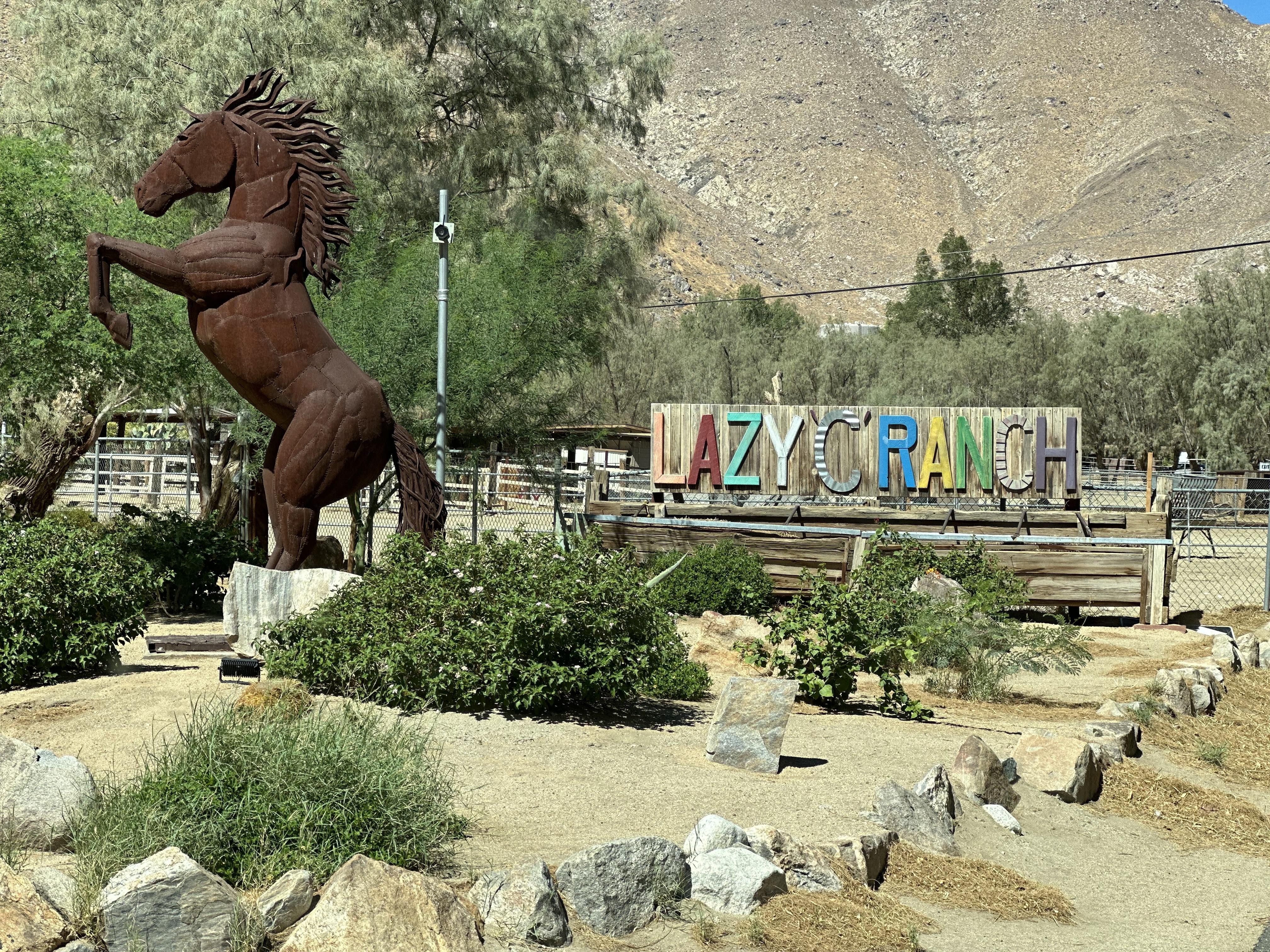 The Wedding Website of Jennifer Cervelli and Jason Eley