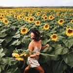 Du Point Pioneer Sunflower Field