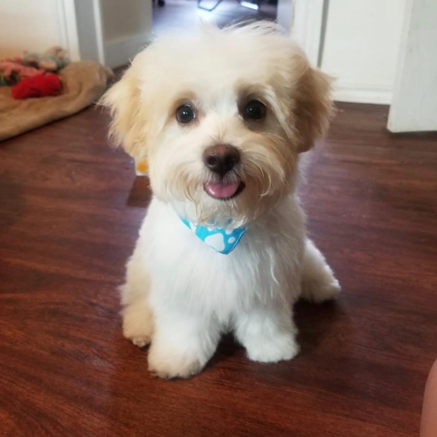 Our love, Luna!