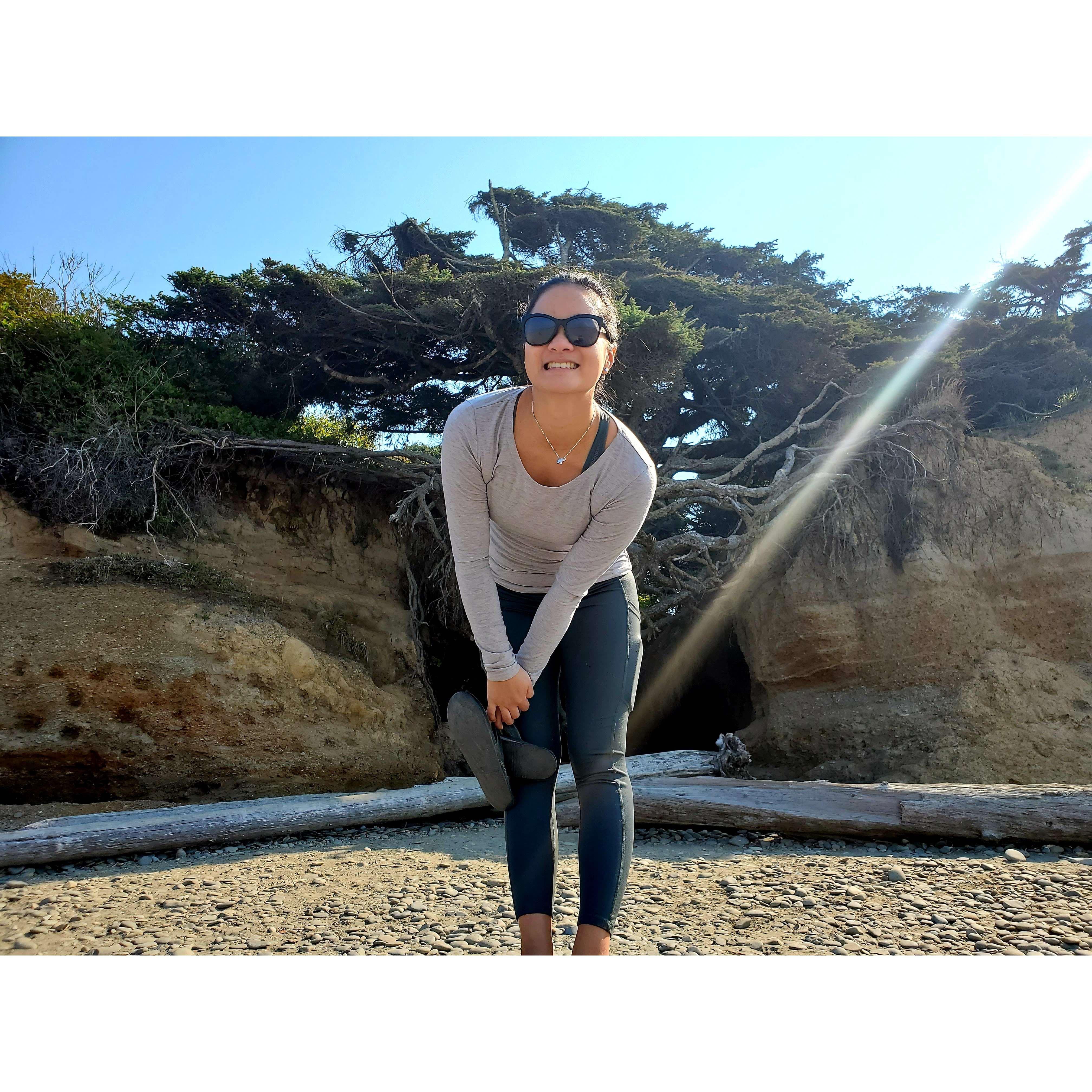 Tree of life at Kalaloch Bay