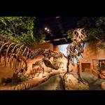 Mountain America Museum of Ancient Life at Thanksgiving Point