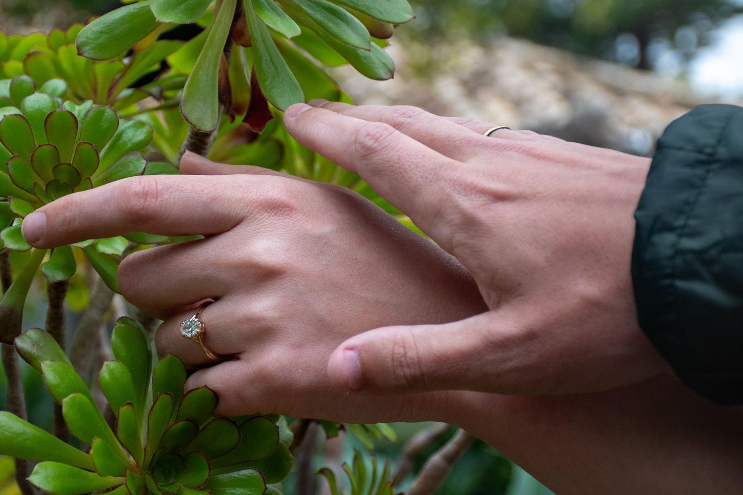 The Wedding Website of Alex Bruns and Amelia Wilson-Jackson