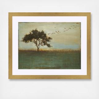 A Fleeting Glimpse Framed Wall Art