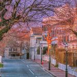 Martha's Vineyard