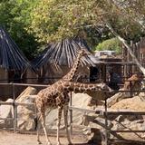 ABQ BioPark Zoo