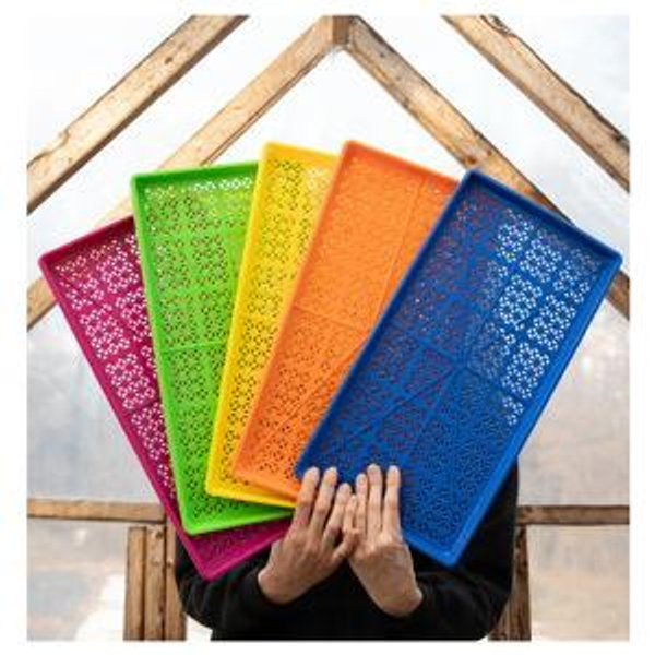 Multicolor Bundle of Shallow Heavy-Duty Mesh Trays - Fedco Seeds
