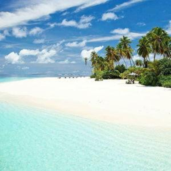 Newlywed & Honeymoon Fund