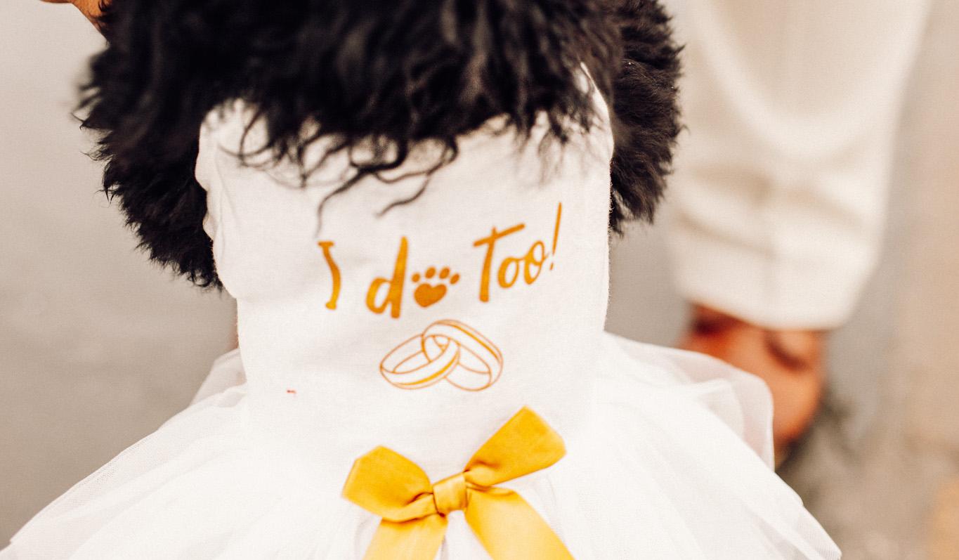 The Wedding Website of Carlos Peay and Ashley Manning