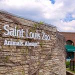 Saint Louis Zoo