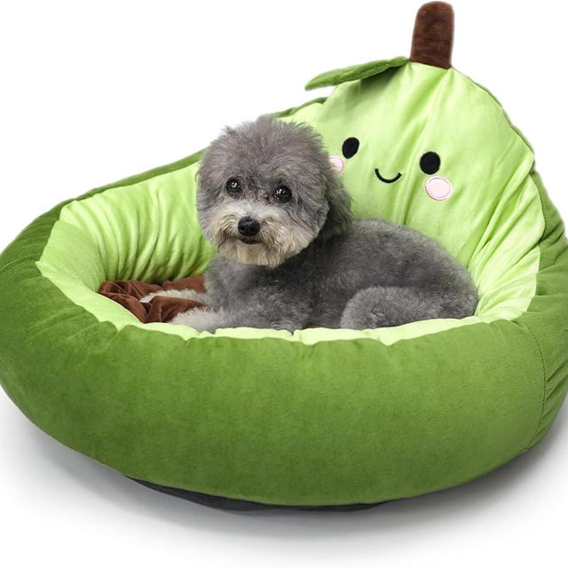 JIZWPOOM Avocado Calming Dog Bed & Cat Bed for Small Dogs, Cute Pet Bed Round Cat Bed Washable Plush Bed