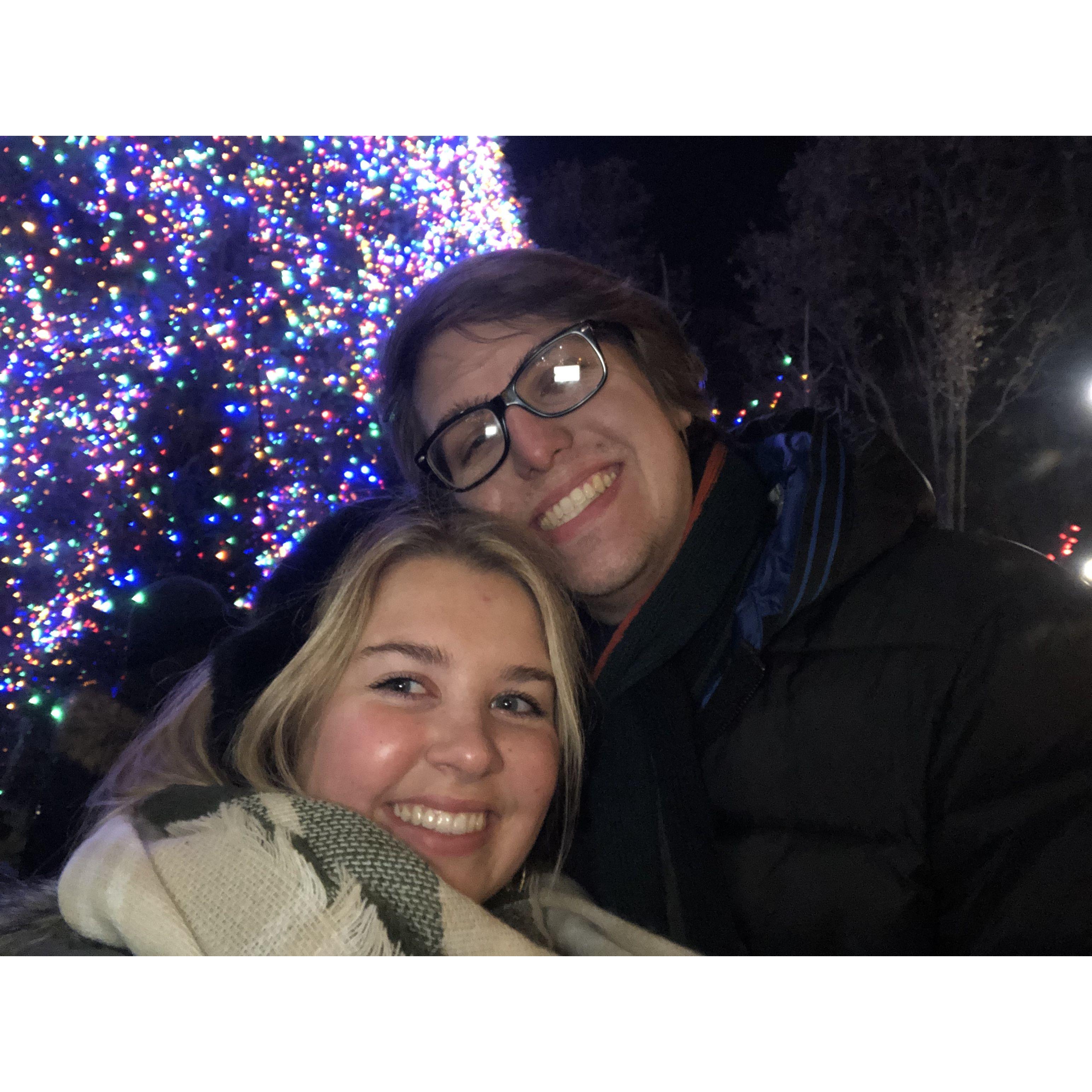 Seeing the Christmas tree in downtown Chicago
