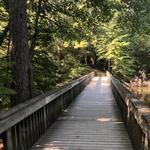 The Noland Trail
