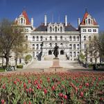 New York State Capitol