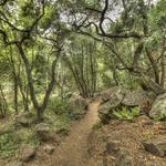 Hot Springs Canyon Trailhead