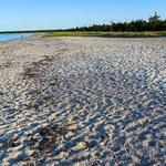 Shelter Island Beaches