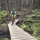 The Lazy Lizard Trail