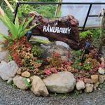 Hamugaway ni Dodongstan Cafè and Restaurant