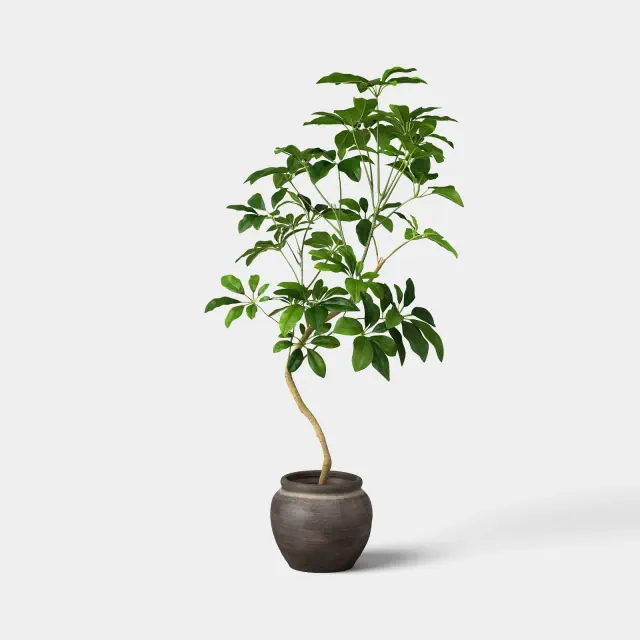 39" Spade Leaf Tree - Threshold™