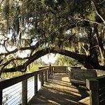 Coastal Discovery Museum