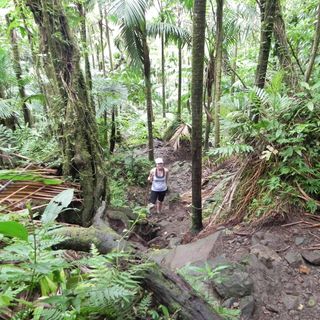Volcano Hike for 2 - Basseterre