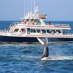 Queen Mary Party Fishing Boat & Charters