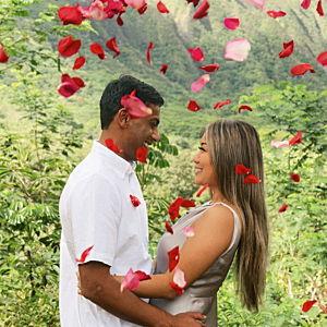 Honeymoon Fund