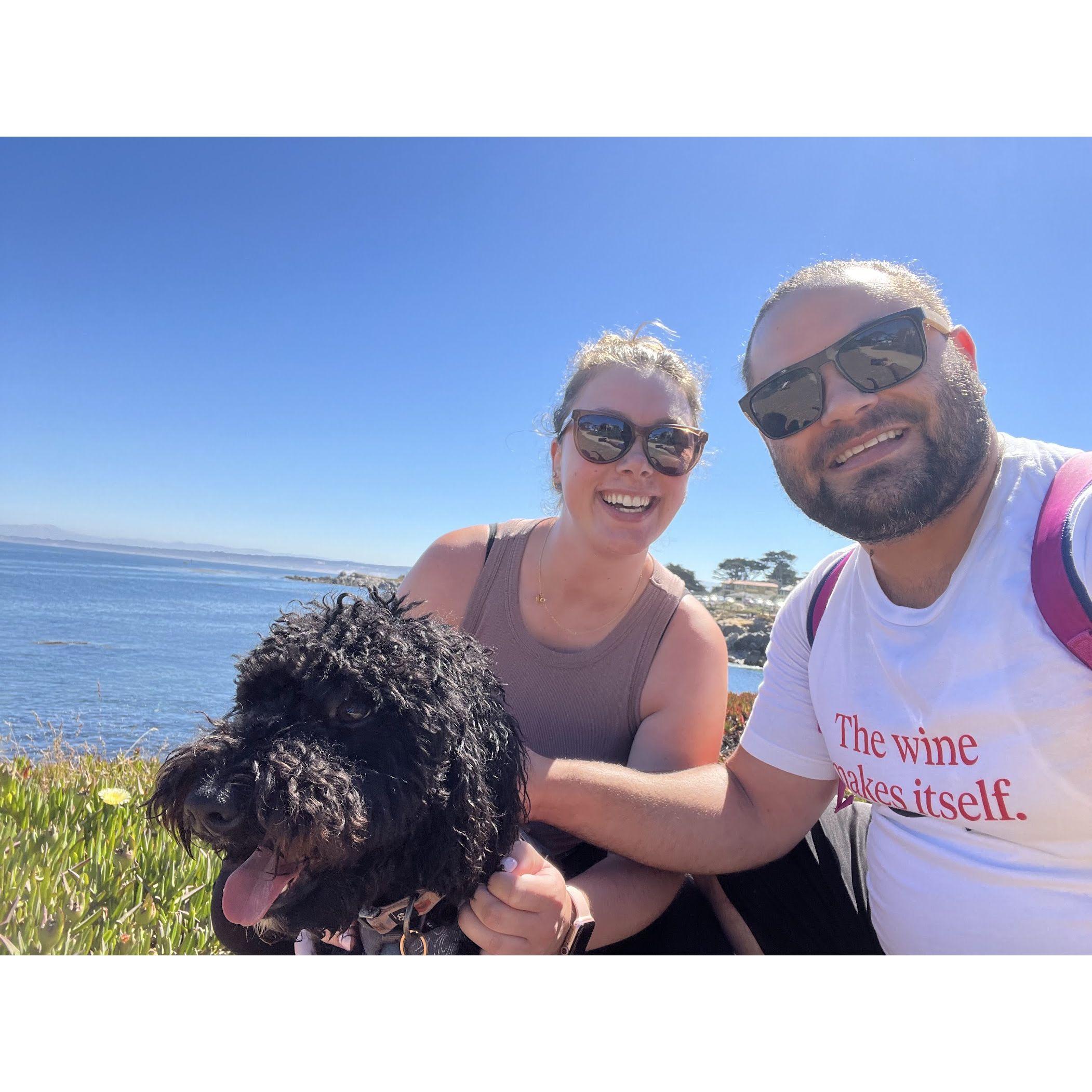 One of our favorite spots to walk in Pacific Grove, CA.