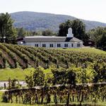 Barboursville Winery