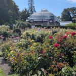 christchurch botanical gardens