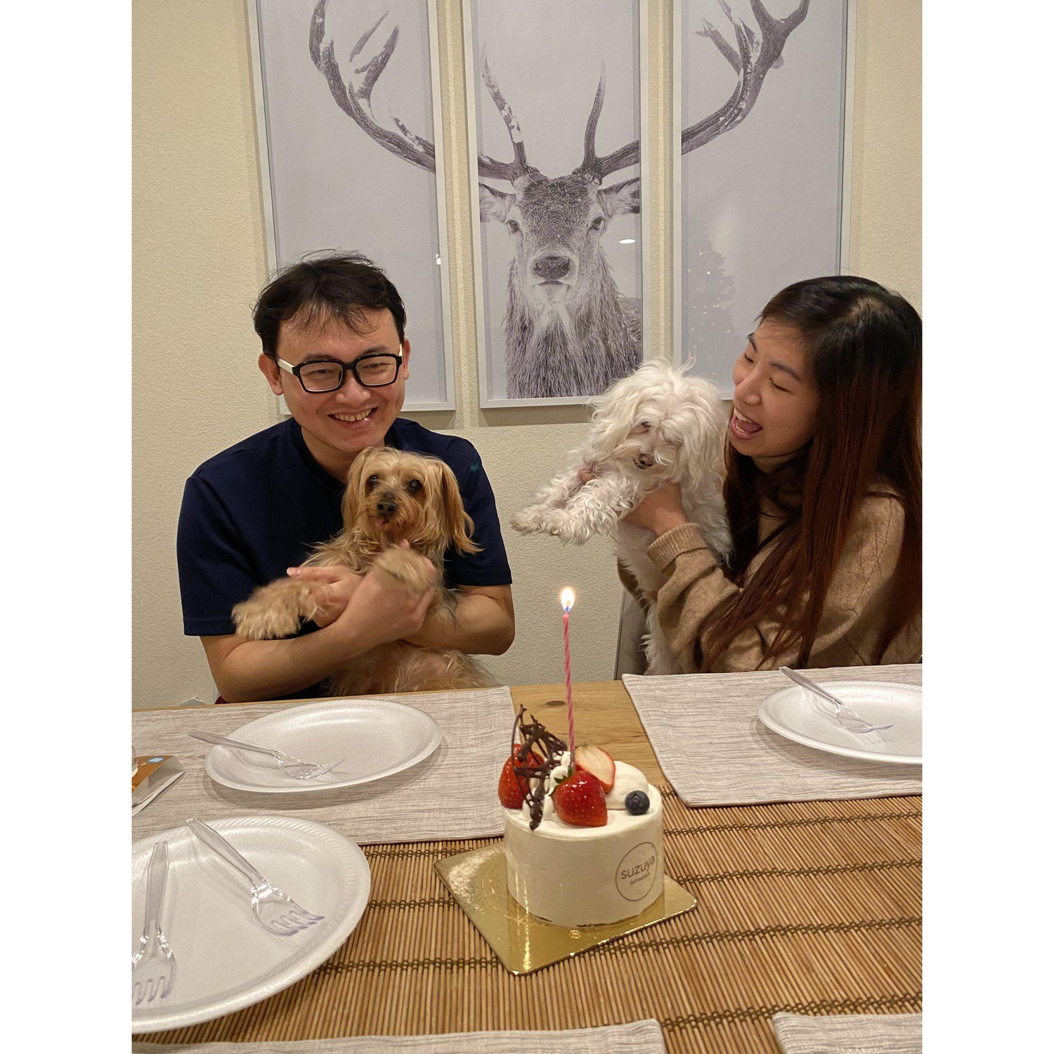 Celebrating Karen's birthday with Star and Bear together.