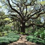 Washington Oaks Gardens State Park