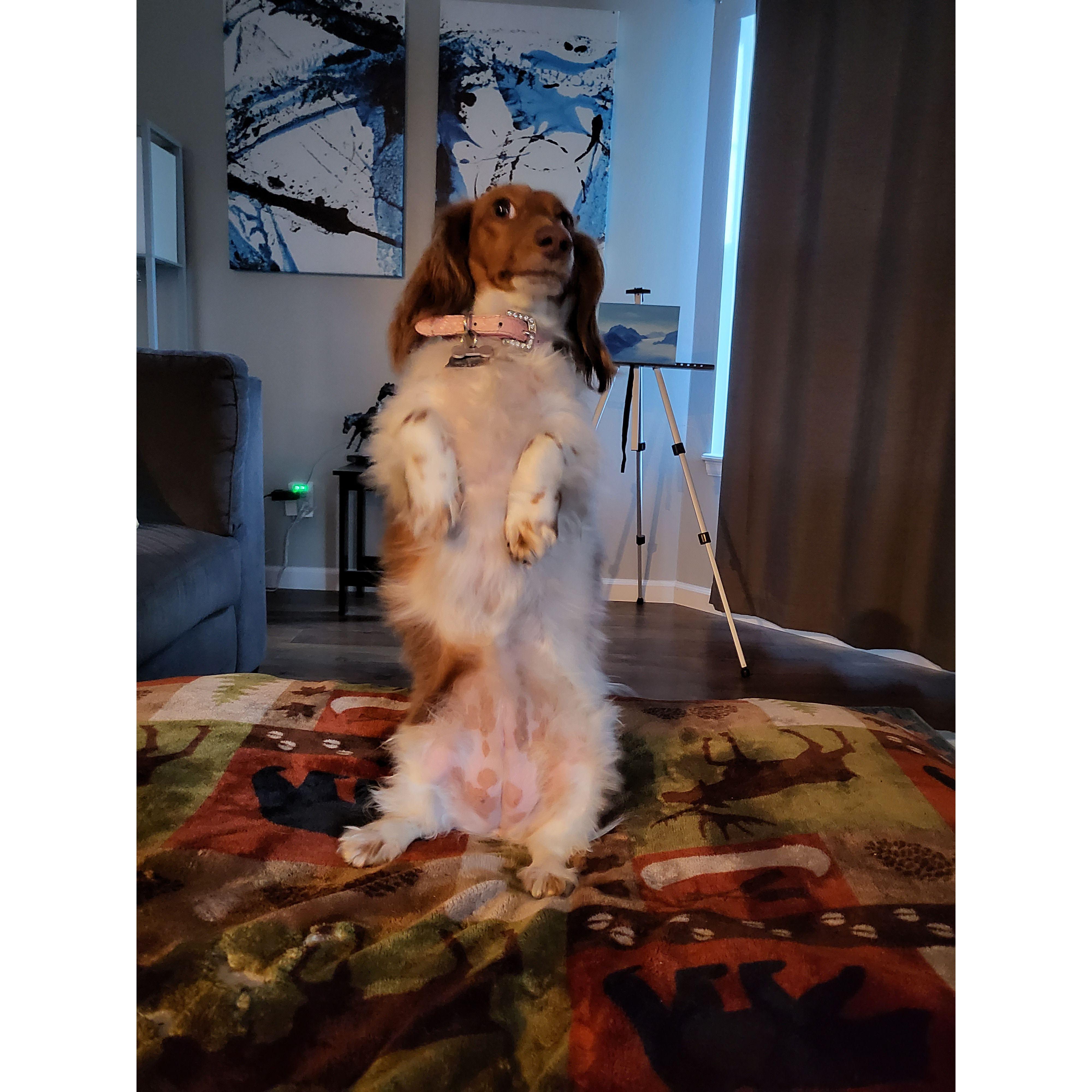 Gigi!
