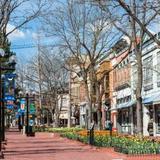 Pearl Street Mall