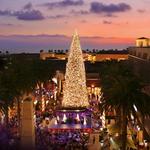 Fashion Island Tree Lighting Ceremony