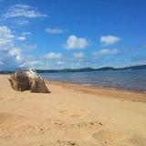 Presque Isle Park - Bog Walk